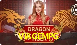 Dragon Tiger